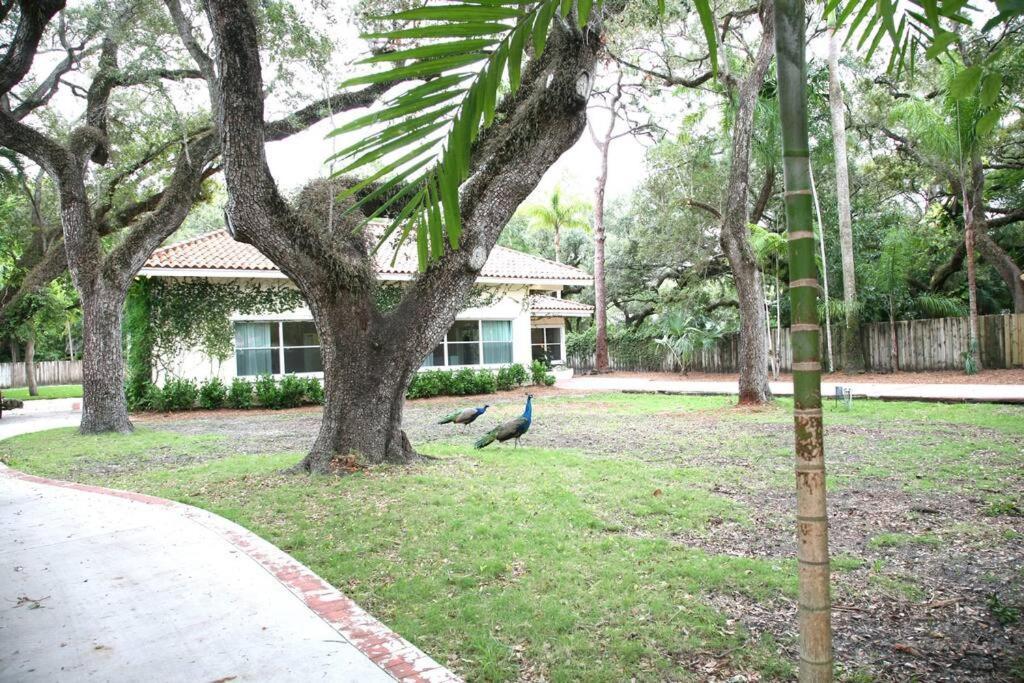 Spacious Tropical Oasis - 1/2 Acre In Heart Of Mia Holiday home *